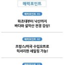 보난자요트투어