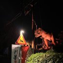 [후기] 포레스트 공룡사파리 &#34;귀몽 쥬라기 원정대&#34; : 비오는 날 귀신의 집 방문 후기🦕👻