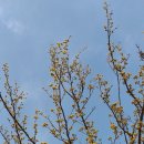 산들밥상 이미지