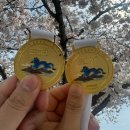 (주)대일택시 | [경주/천군동] 축제 가볼만한곳 이색데이트 개화시기 준비물 내돈내산 &#34;경주벚꽃마라톤대회&#34;(feat. 총정리)