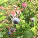 동부친환경농자재 이미지