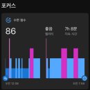 컴퓨터백화점 | 다이빙 컴퓨터 가민 디센트 G2 후기 feat. 동탄 롯데백화점