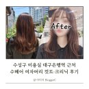 수헤어 | 대구은행역 근처 수성구 미용실 수헤어 여자 컷트 크리닉 후기