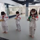 용인대월드태권도장 이미지