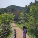 춘천숲자연휴양림 이미지