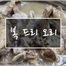 복드리오리 이미지