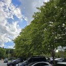 백일홍상사 | [24.09.28.]전주 데이트 코스 '한국도로공사 전주수목원' 토요일 방문 후기