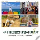 펫아울렛(수영강변점) | 강아지랑 가기 좋은 국내 애견동반 여행지 BEST 7