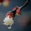 통영중학교 이미지