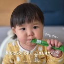 아기 곰보배추시럽 이지아이 비염에 좋은 영양제 솔직후기
