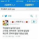 문덕온천하와이 이미지