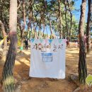 세종이음학교 앞 이미지