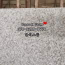 화이트카멜리아 이미지