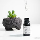 스니피드 이미지