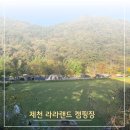 한봉제천 | 제천 애견동반 캠핑장 추천 사이트 넓은 애견캠핑장 제천 라라랜드 캠핑장