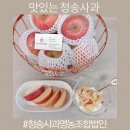 목장의아침영농조합법인 | 단단하고 맛있는사과 청송사과영농조합법인 나무늘보 부사