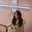 안나 이미지