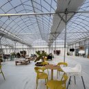 온누리농장 | 직접 가본 논산 온누리 딸기농장 후기