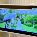 솔선(solsun) 이미지