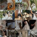 W#8. 더채플앳대치 아이폰스냅 실루엣스냅 계약 후기