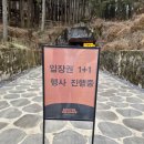 완산방-3 | 전주시 여행, 대피 방공호의 탈바꿈, 미디어 아트 전시관, "완산벙커 더 스페이스"