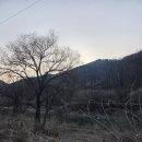 제1금천교 | 문경 경천호 배스낚시 패턴·포인트 대공개!! 드디어 반응 왔다 (알라바마리그 + 지그 헤드 적중)