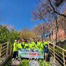 주정차109 이미지