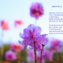 전라남도 순천시 연향동 한의원 4곳 완벽 정리