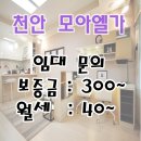 생활모아 이미지