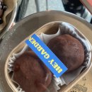 고양아, 안녕? 이미지