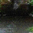 신세기목장 이미지