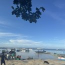 대로3-42 | 보홀여행기록, 3일차 이게 바로 사서 고생🔥 12개월 42개월 한바다호핑