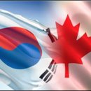 625 Daum카페