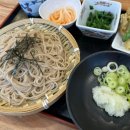 메밀소바맛집 오무라안 강릉 소바 장인이 있는 곳