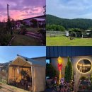 돌담펫호텔 이미지