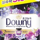 미스티크 이미지