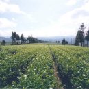 (주)전홍개발 이미지