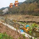 런웨이ai 무료버전 직접 사용해본 후기. 좋은점 아쉬운점