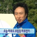 코코애견 이미지