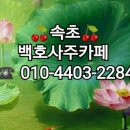 백호사주카페 이미지