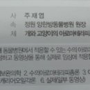 정원 양한방동물병원 이미지