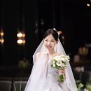 데이즈 | 더 테라리움 춘천 리움홀 어두운홀 색감맛집 본식브냅 로라데이즈 후기