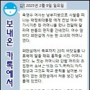 모정의 뱃길 6년 이미지