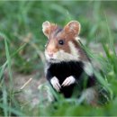 명종농장 이미지