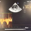 태백동물병원 이미지