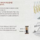 (주)천년미소전통식품 이미지