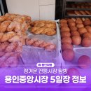 용인중앙시장 | 용인중앙시장 5일장 시간, 방문 후기 정겨운 전통시장