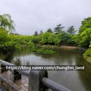 청림임업 - 1264 | 청림임업
