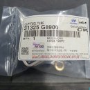 G8900 | 18년식 싼타페 TM 3탄 / 맥동음 잡기 파트 원 / 과연 결과는?