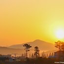 별빛야영장 이미지